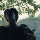 Image for article titled Lemonade Is Beyoncé's Body and Blood
